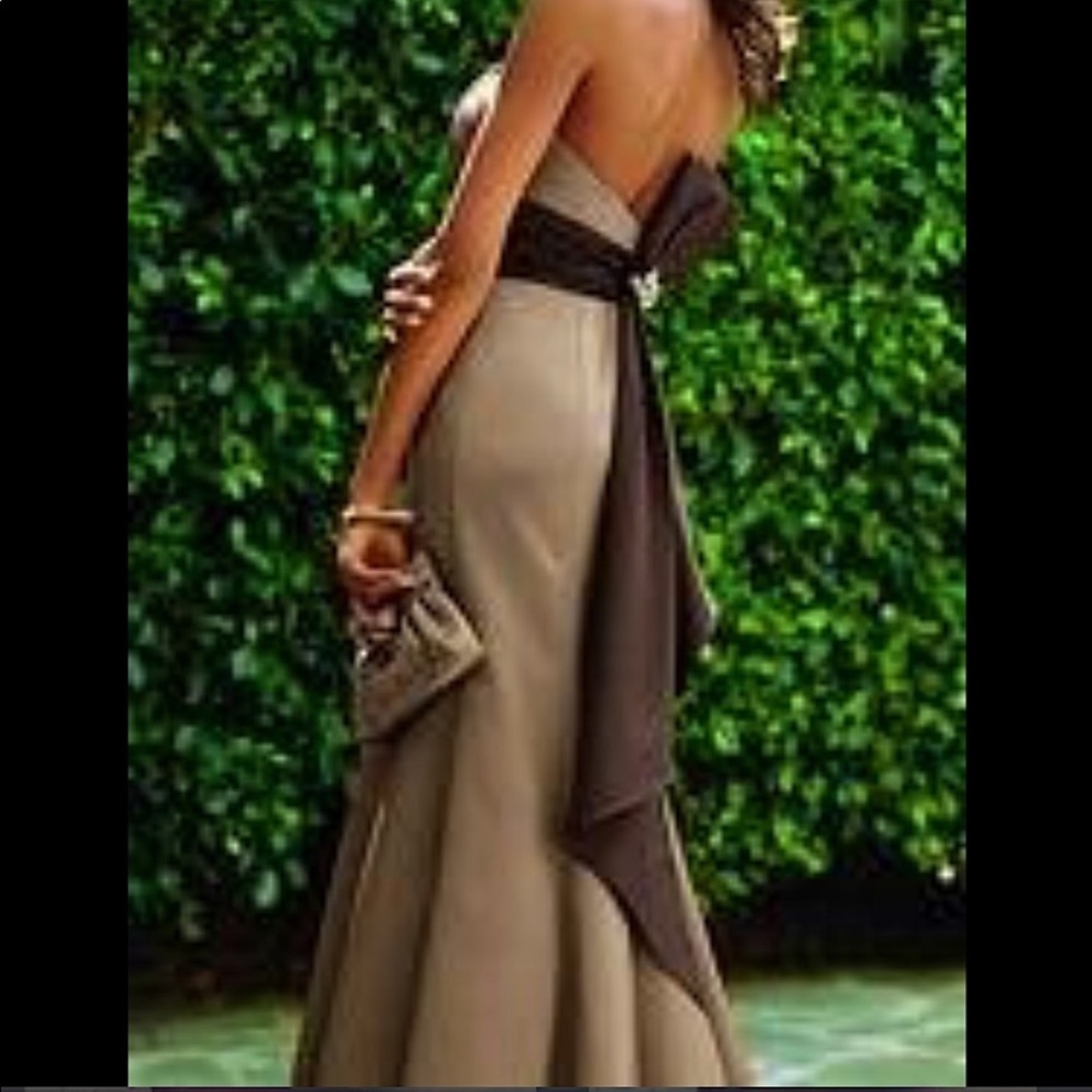 Gorgeous David’s Bridal Dress